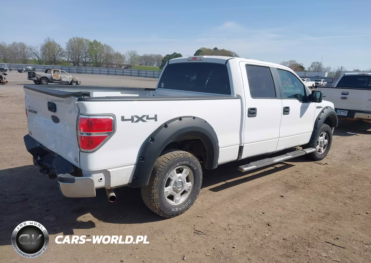 2010 Ford F-150 Fx4-Harley-Davidson-King Ranch-Lariat-Platinum-Xl-Xlt VIN:1FTFW1EV0AFB58758 - 4