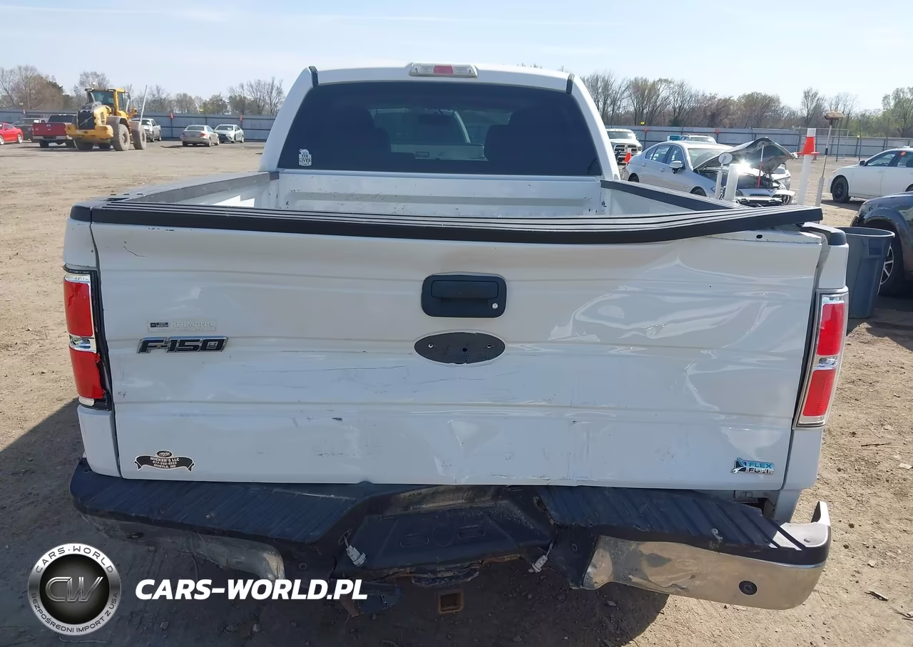 2010 Ford F-150 Fx4-Harley-Davidson-King Ranch-Lariat-Platinum-Xl-Xlt VIN:1FTFW1EV0AFB58758 - 6