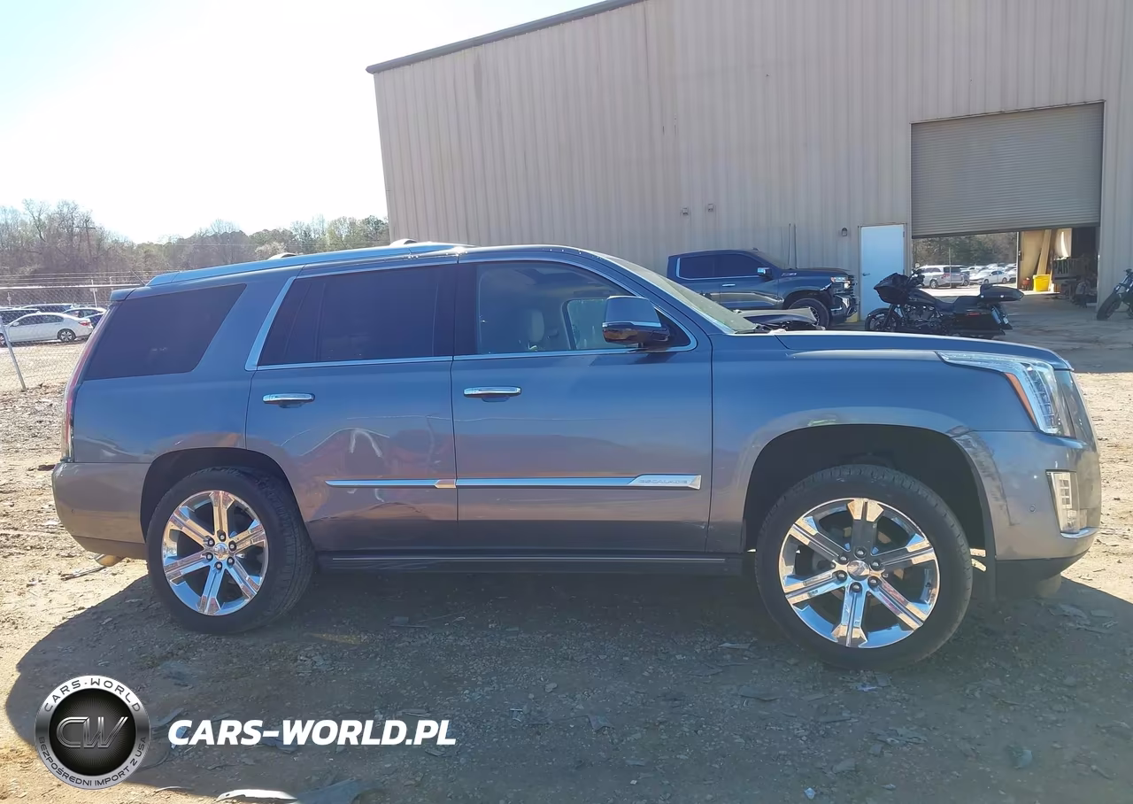 2019 Cadillac Escalade Premium Luxury VIN:1GYS4CKJ4KR285931 - 13