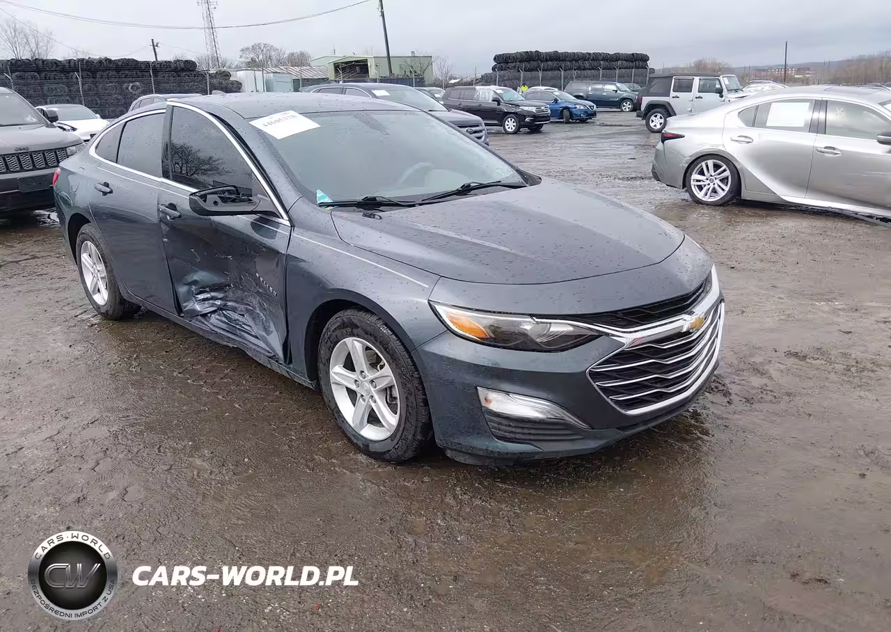 2019 Chevrolet Malibu 1Ls
