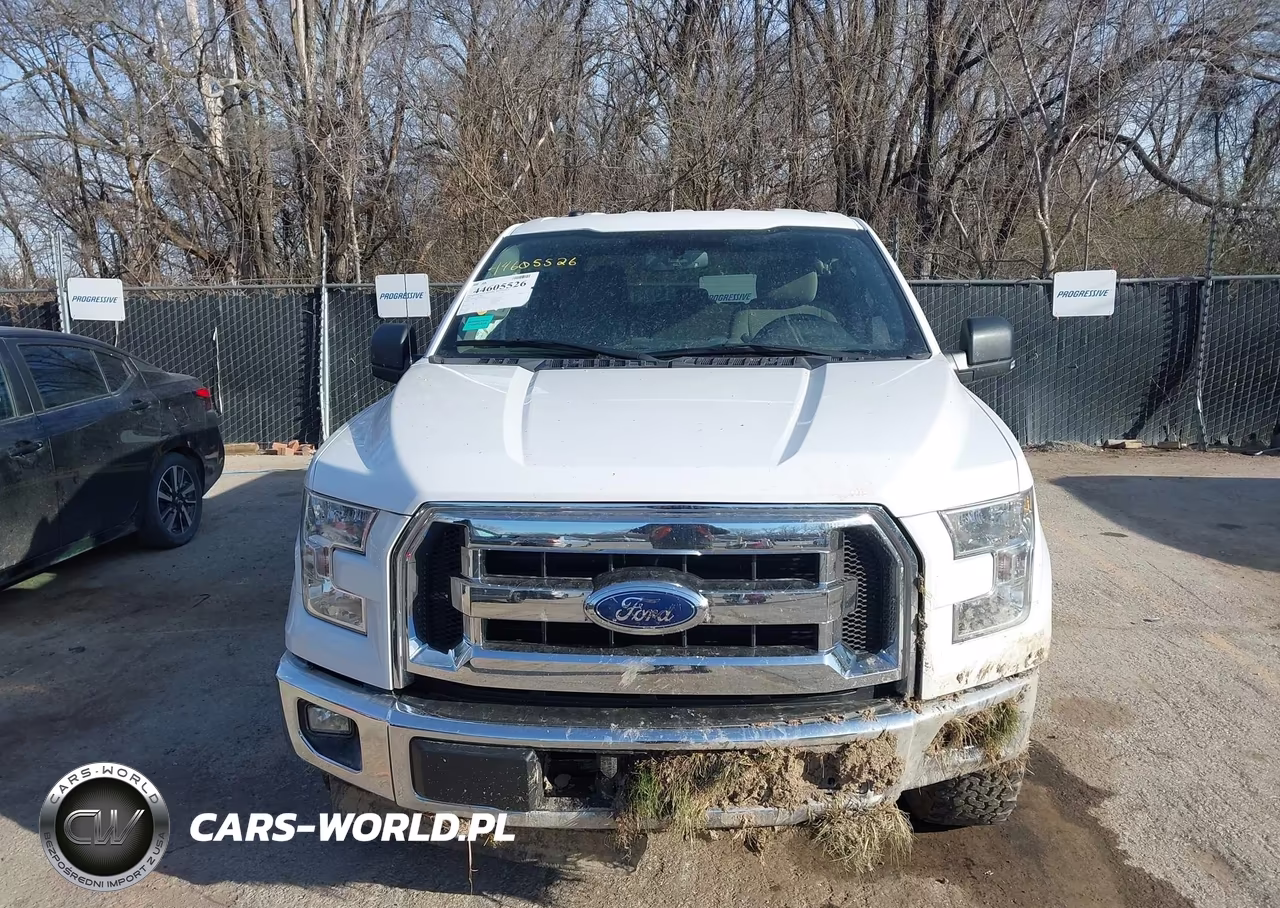 2017 Ford F-150 Xlt VIN:1FTEW1EG6HKD84382 - 12