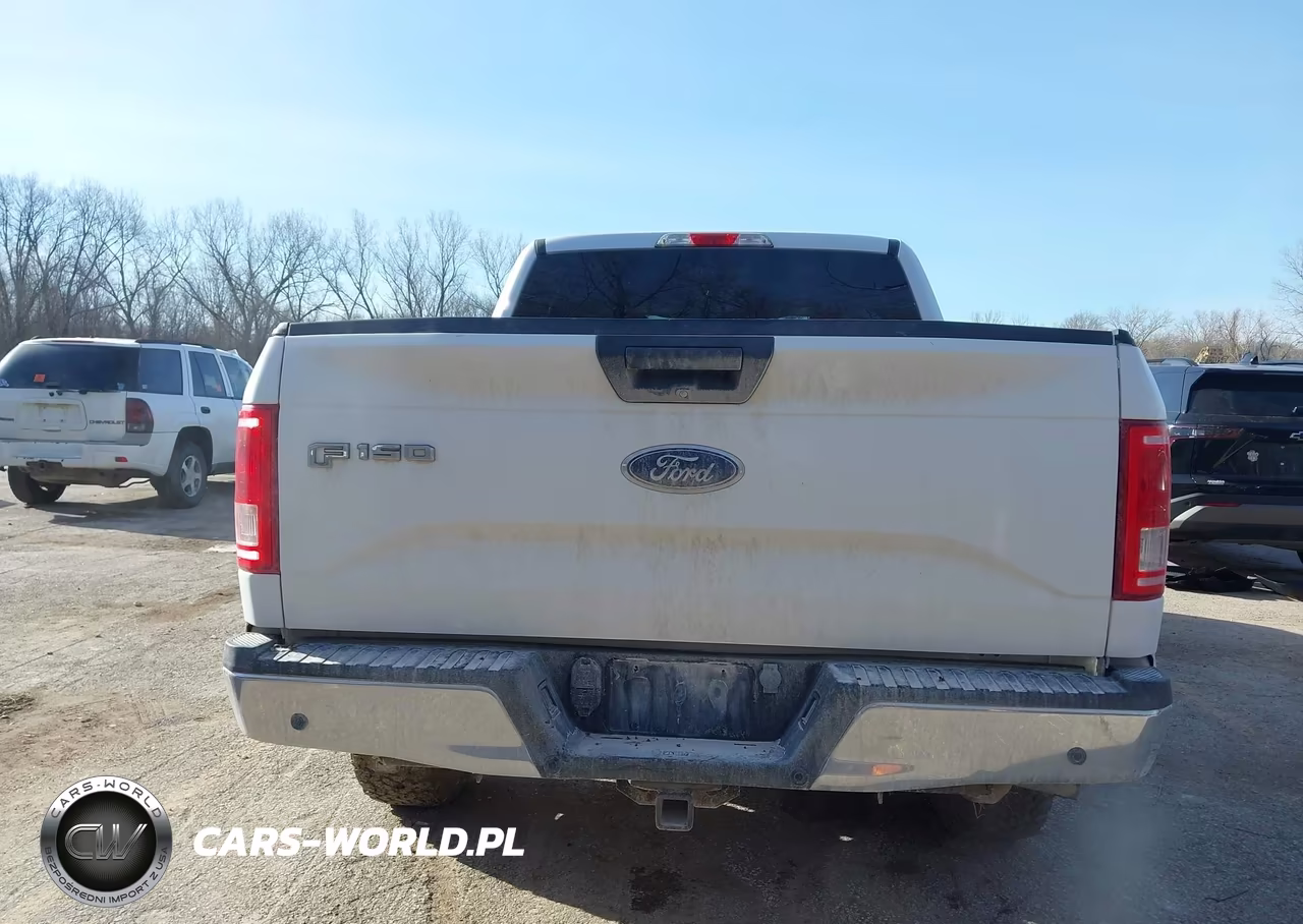 2017 Ford F-150 Xlt VIN:1FTEW1EG6HKD84382 - 16