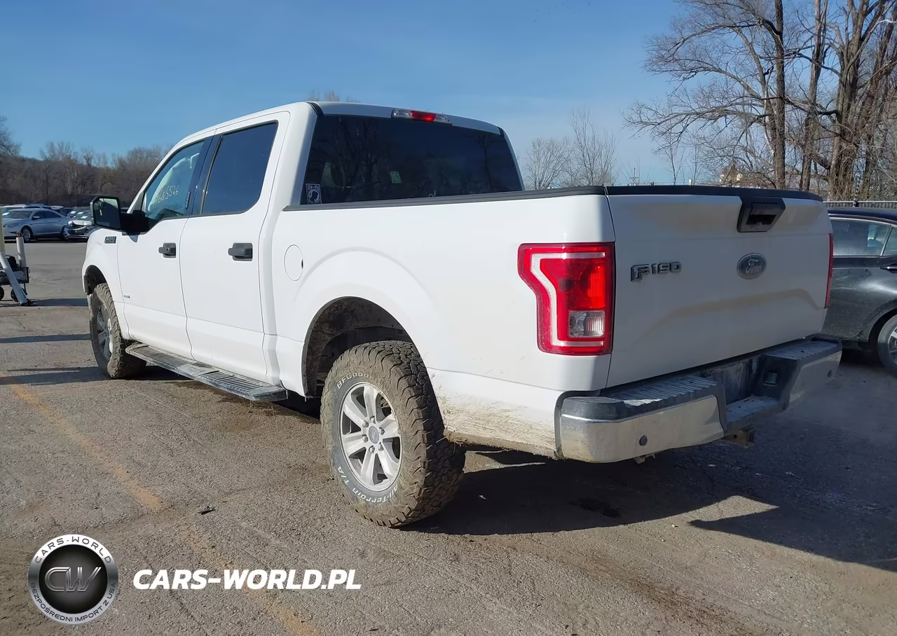 2017 Ford F-150 Xlt VIN:1FTEW1EG6HKD84382 - 3
