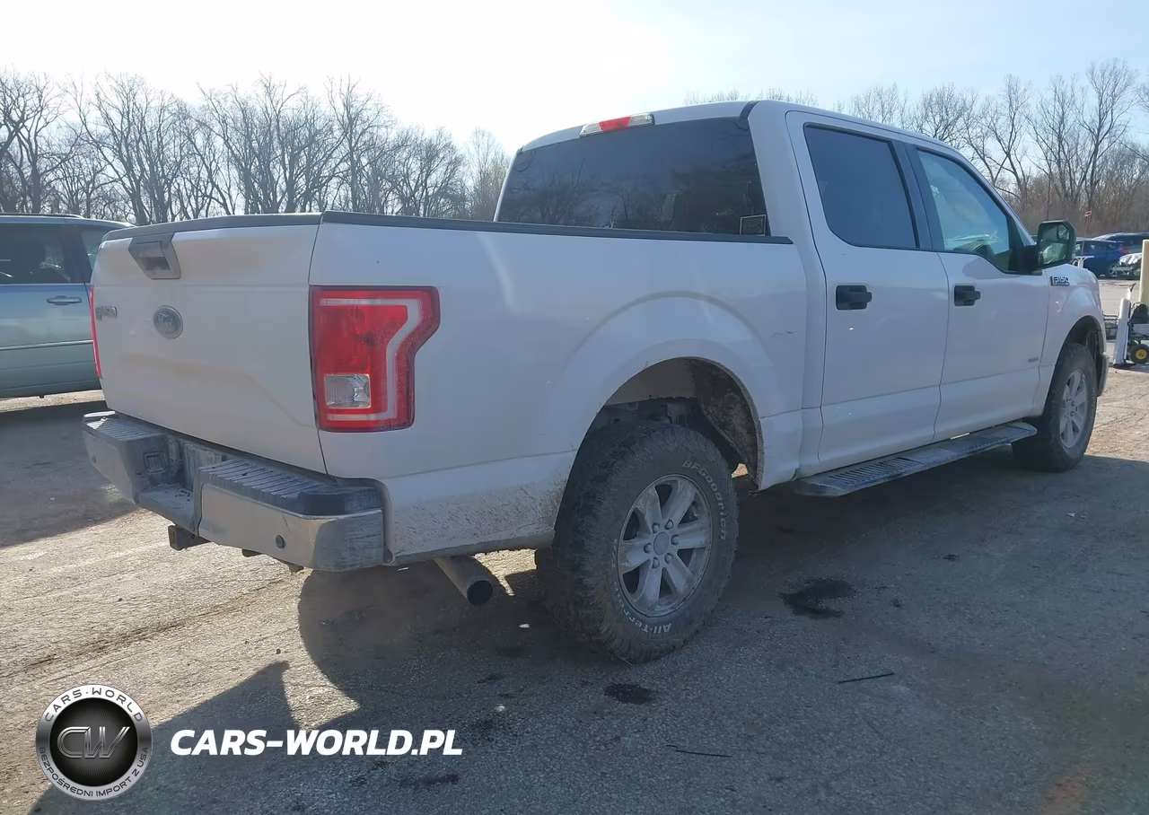 2017 Ford F-150 Xlt VIN:1FTEW1EG6HKD84382 - 4