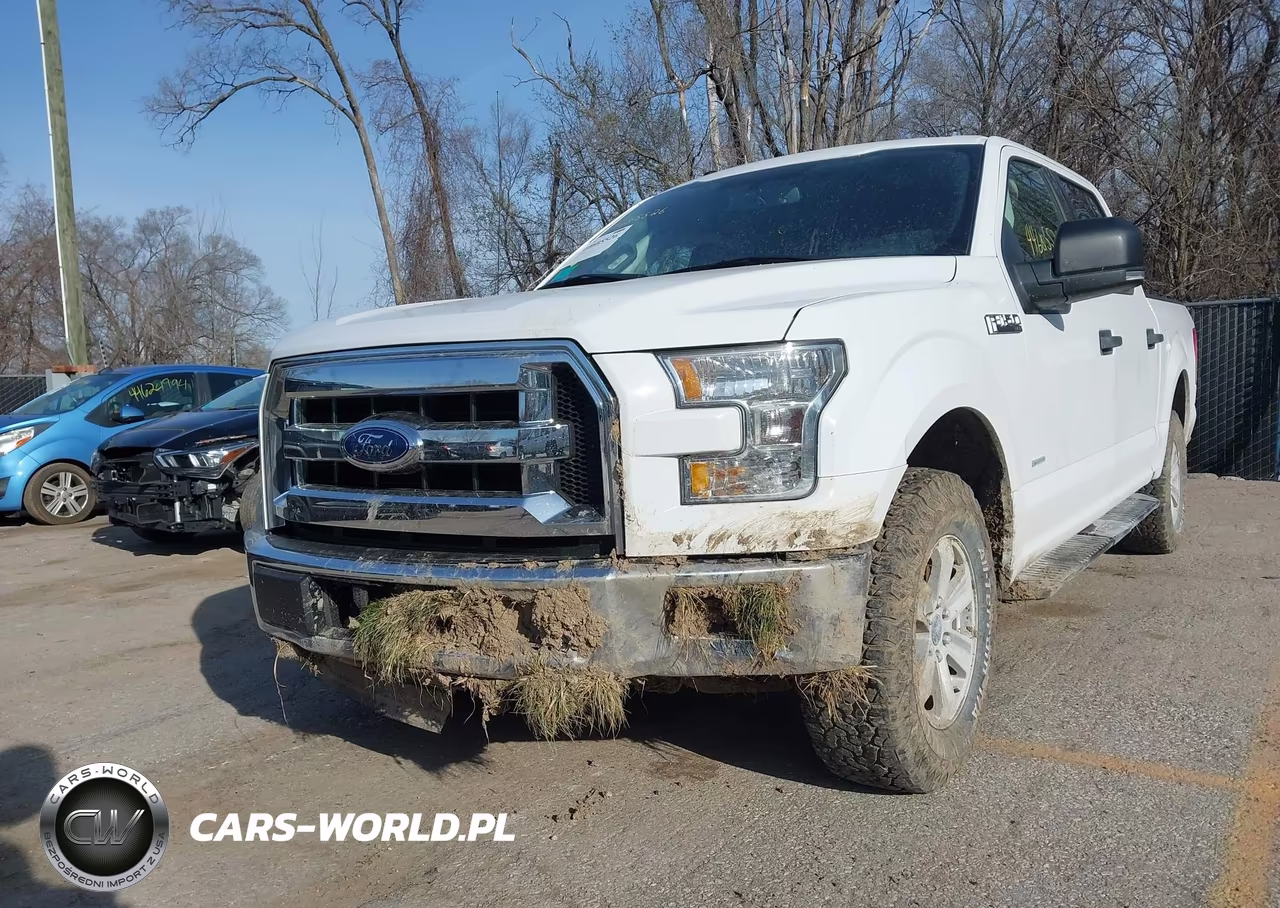 2017 Ford F-150 Xlt VIN:1FTEW1EG6HKD84382 - 6