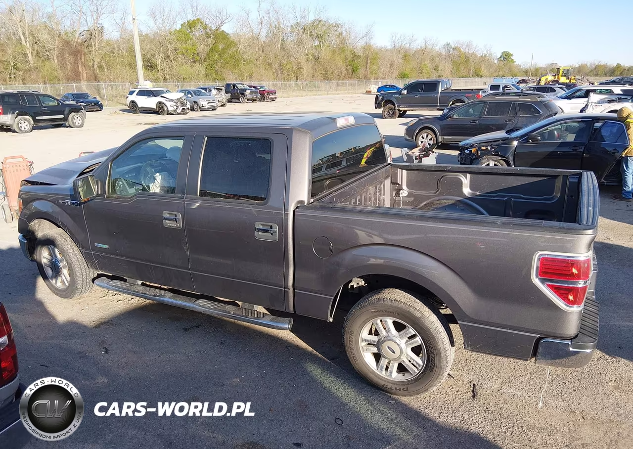 2013 Ford F-150 Fx2-King Ranch-Lariat-Limited-Platinum-Xl-Xlt VIN:1FTFW1CT1DKE55714 - 15