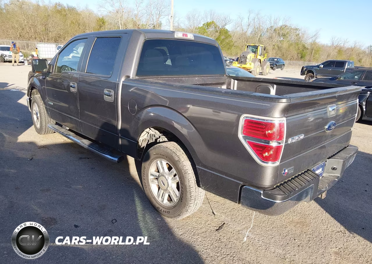 2013 Ford F-150 Fx2-King Ranch-Lariat-Limited-Platinum-Xl-Xlt VIN:1FTFW1CT1DKE55714 - 3