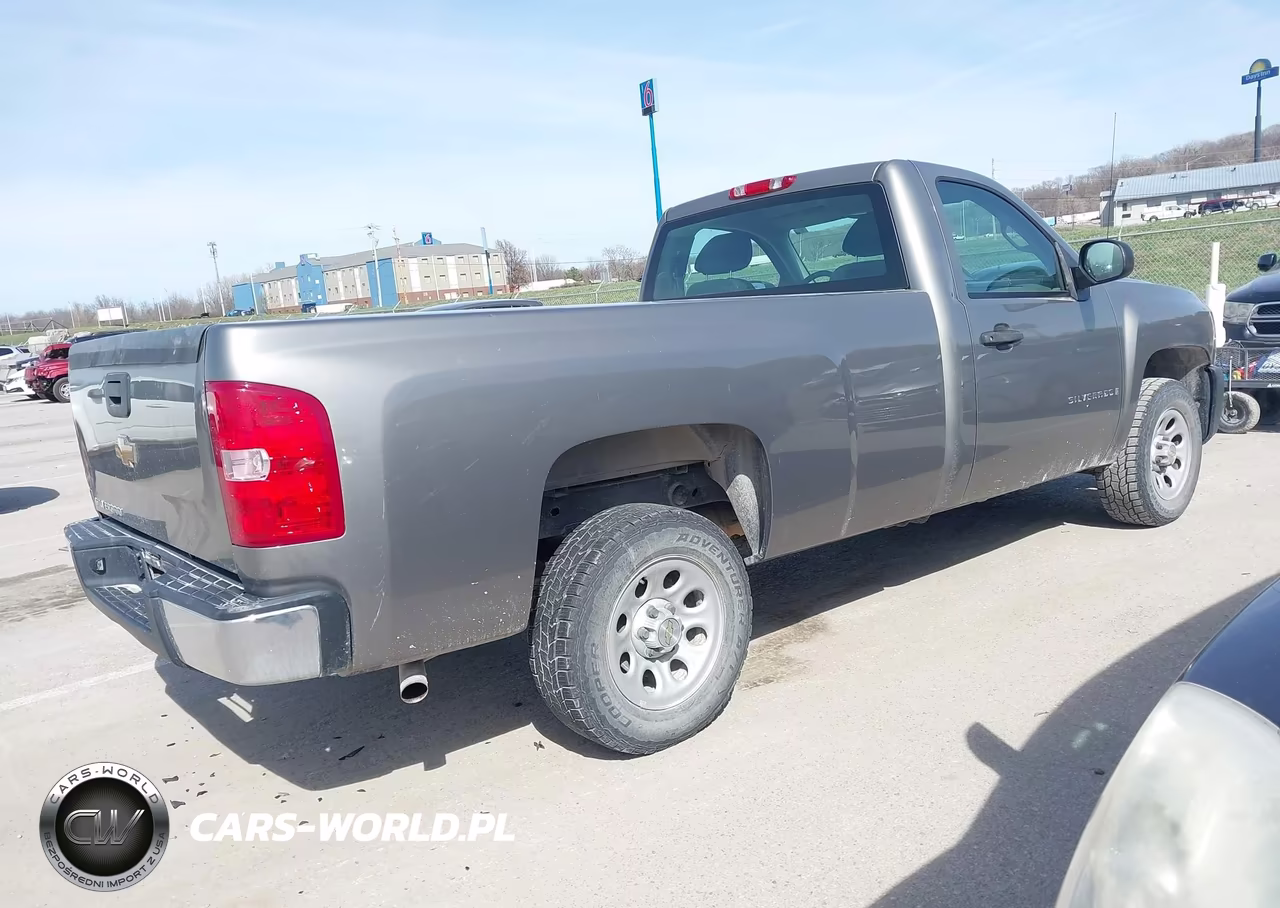 2008 Chevrolet Silverado 1500 Work Truck VIN:1GCEC14X48Z273122 - 4