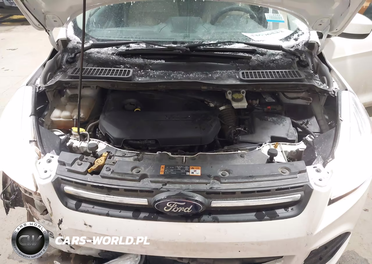2015 Ford Escape Se VIN:1FMCU0GX7FUA01177 - 10