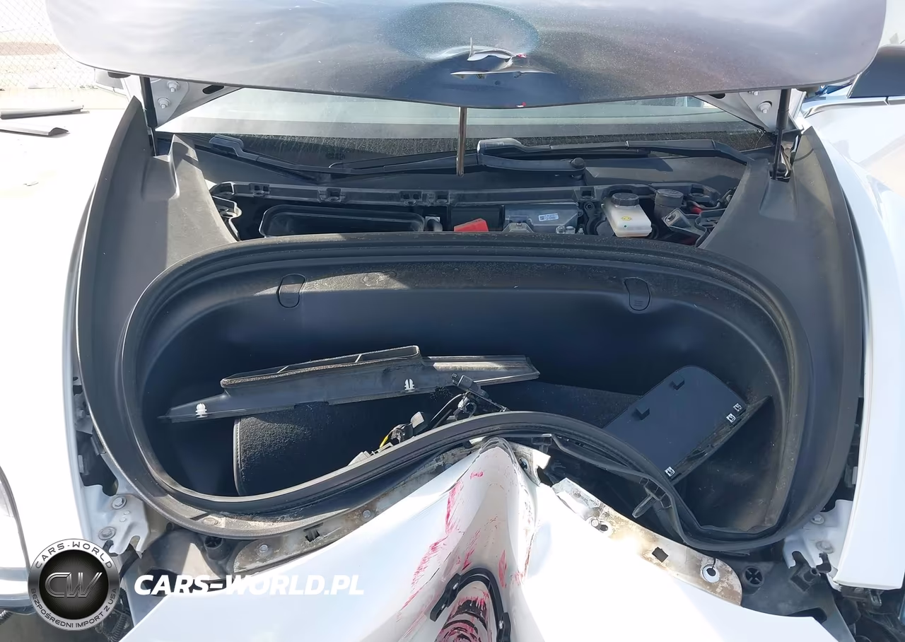 2019 Tesla Model 3 Long Range-Mid Range-Standard Range-Standard Range Plus VIN:5YJ3E1EA5KF301518 - 10