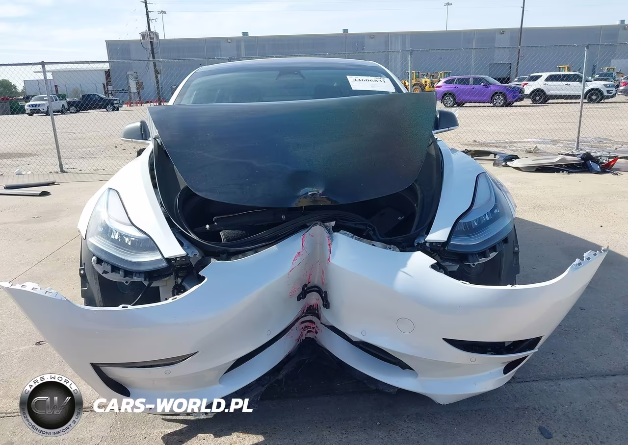 2019 Tesla Model 3 Long Range-Mid Range-Standard Range-Standard Range Plus VIN:5YJ3E1EA5KF301518 - 12