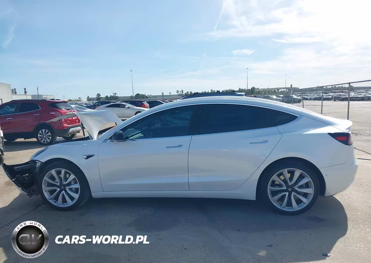 2019 Tesla Model 3 Long Range-Mid Range-Standard Range-Standard Range Plus VIN:5YJ3E1EA5KF301518 - 14
