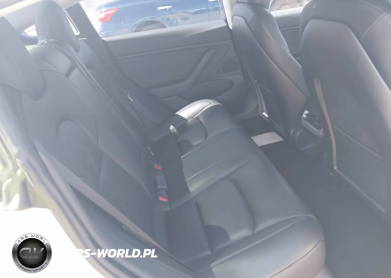 2019 Tesla Model 3 Long Range-Mid Range-Standard Range-Standard Range Plus VIN:5YJ3E1EA5KF301518 - 19
