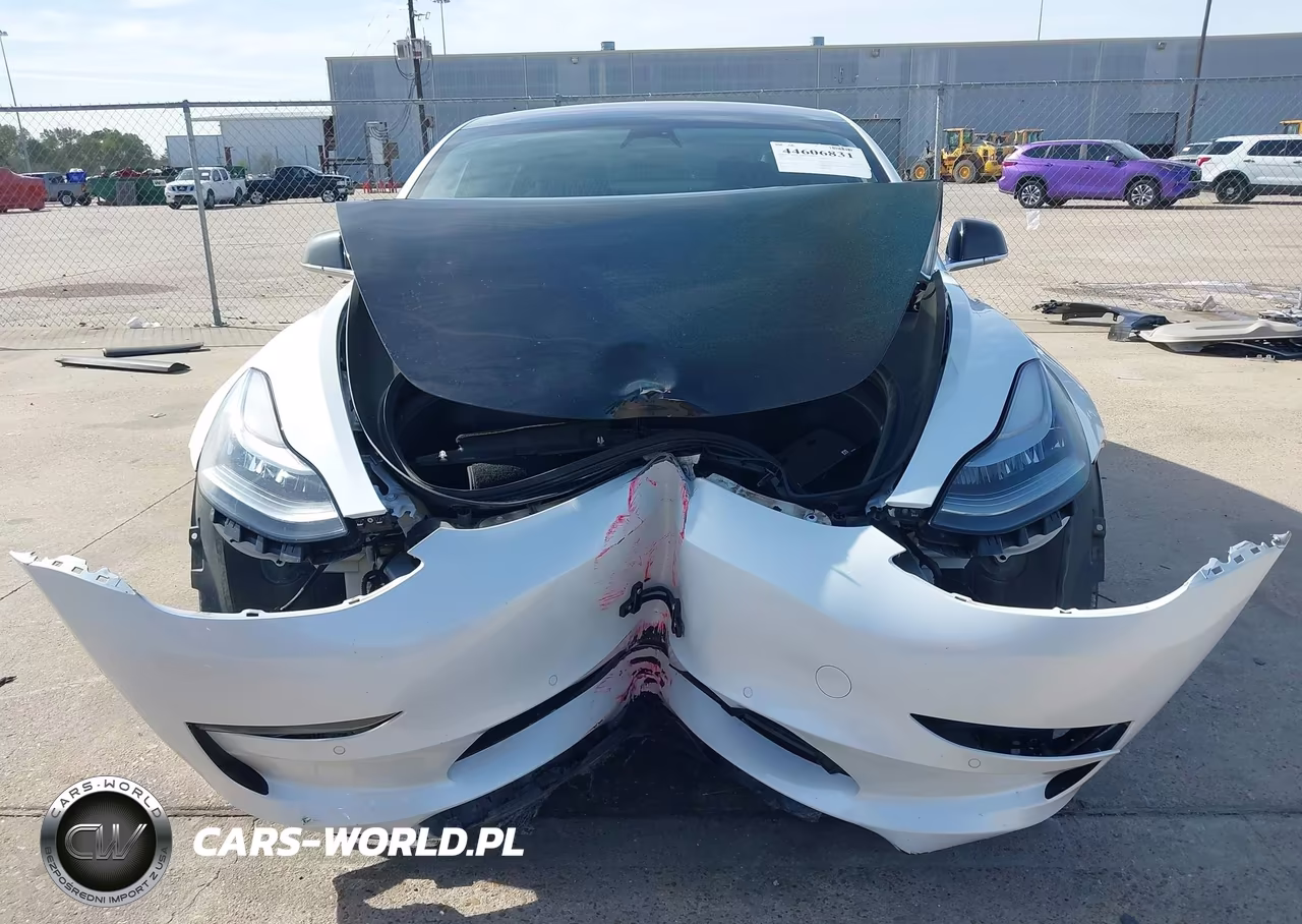 2019 Tesla Model 3 Long Range-Mid Range-Standard Range-Standard Range Plus VIN:5YJ3E1EA5KF301518 - 6