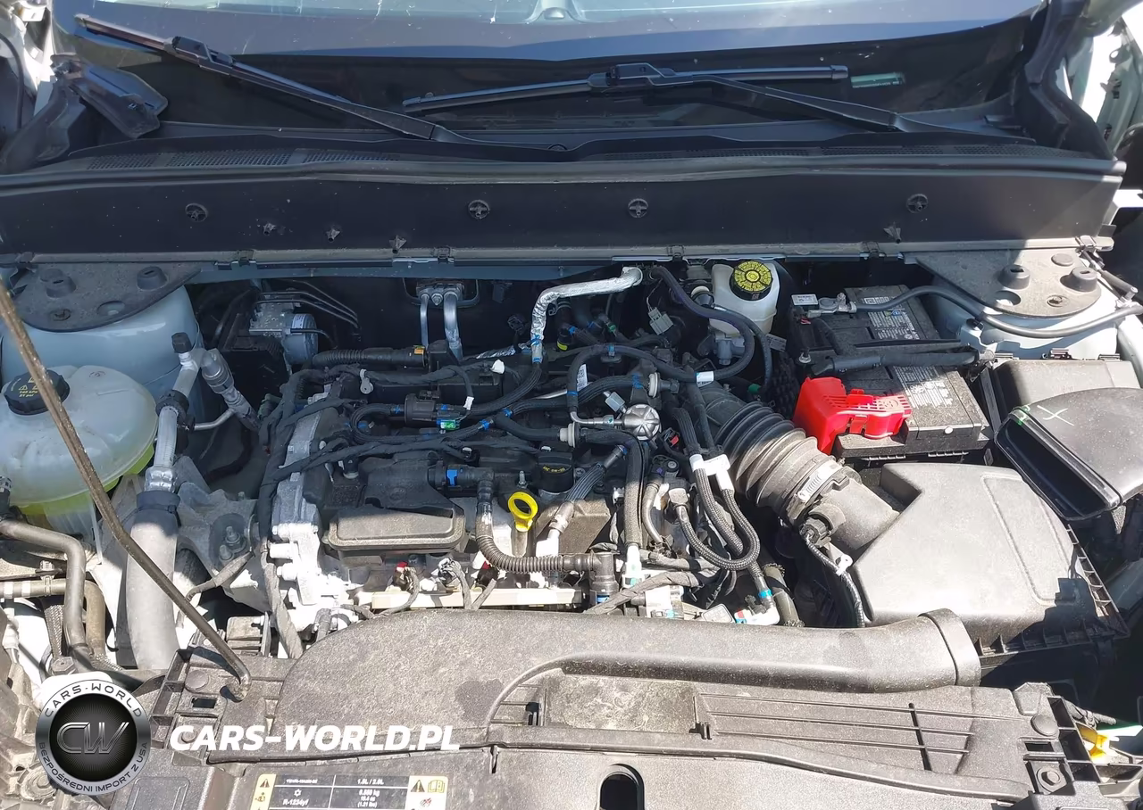 2024 Ford Bronco Sport Big Bend VIN:3FMCR9B65RRE11573 - 10
