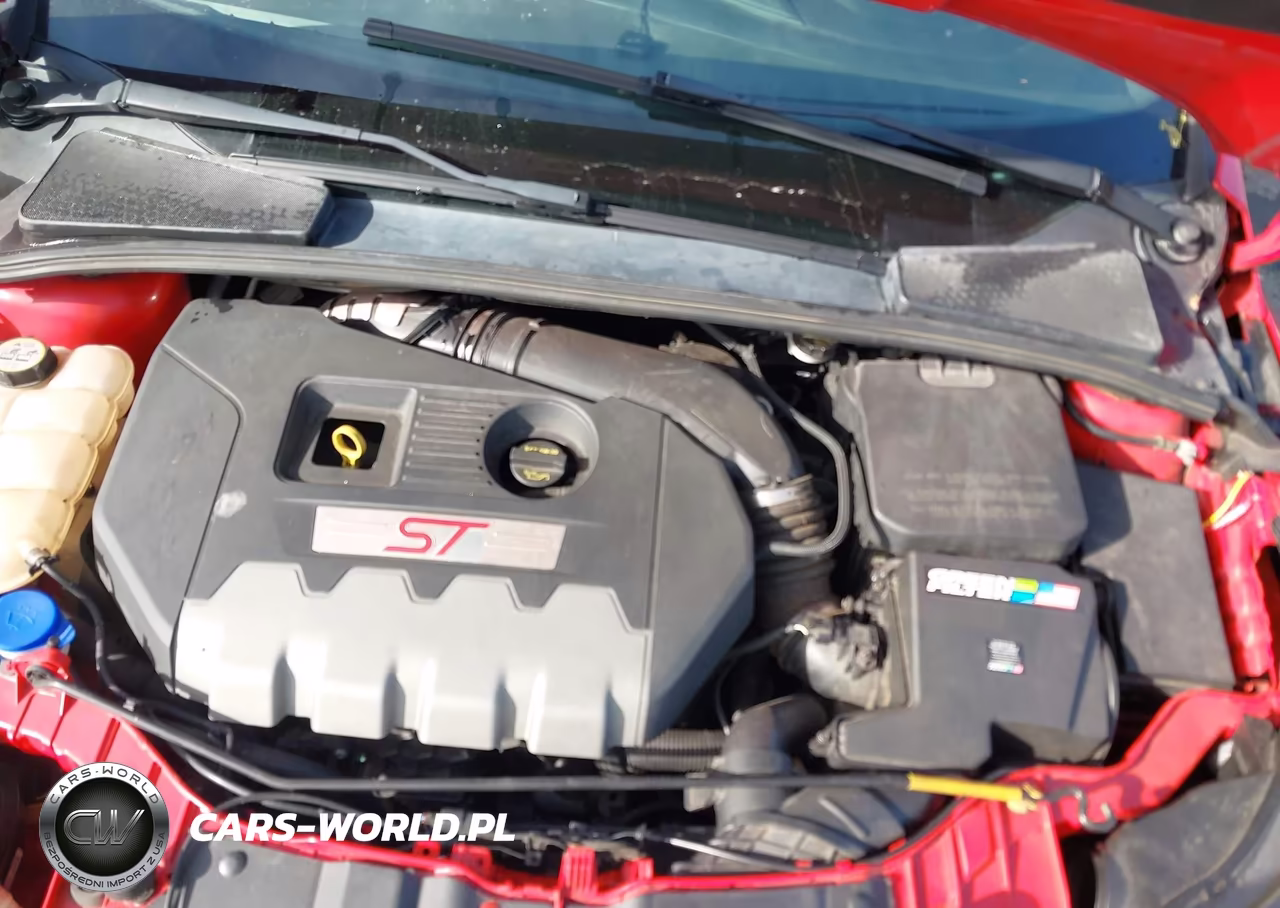 2013 Ford Focus St VIN:1FADP3L97DL330768 - 10