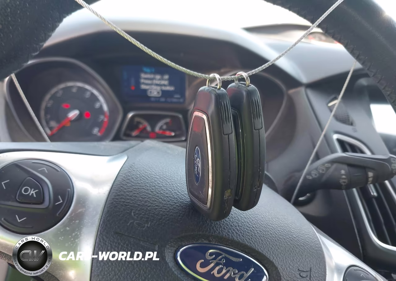 2013 Ford Focus St VIN:1FADP3L97DL330768 - 11