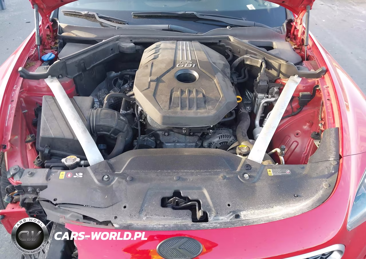 2019 Kia Stinger Premium VIN:KNAE25LA6K6051467 - 10