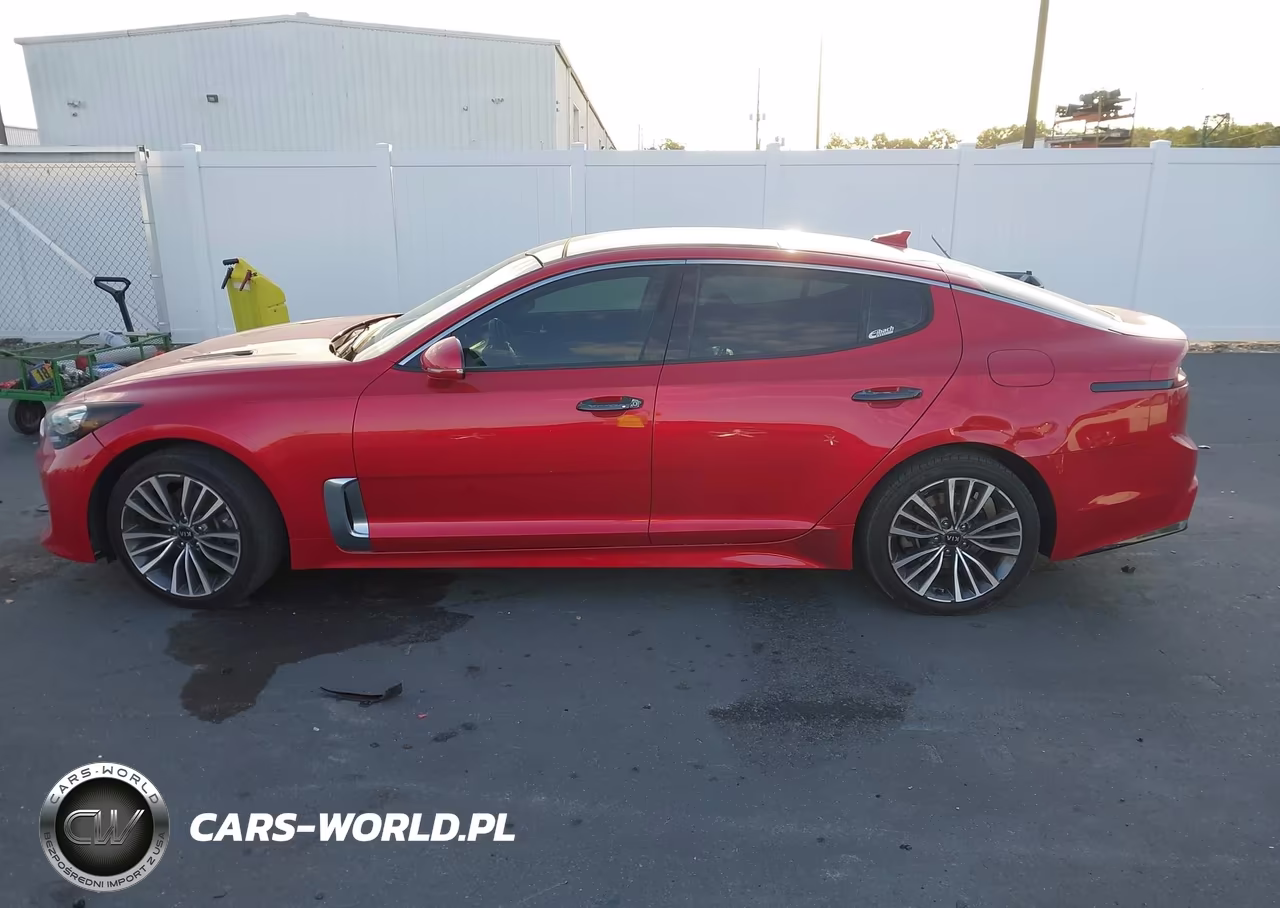 2019 Kia Stinger Premium VIN:KNAE25LA6K6051467 - 15