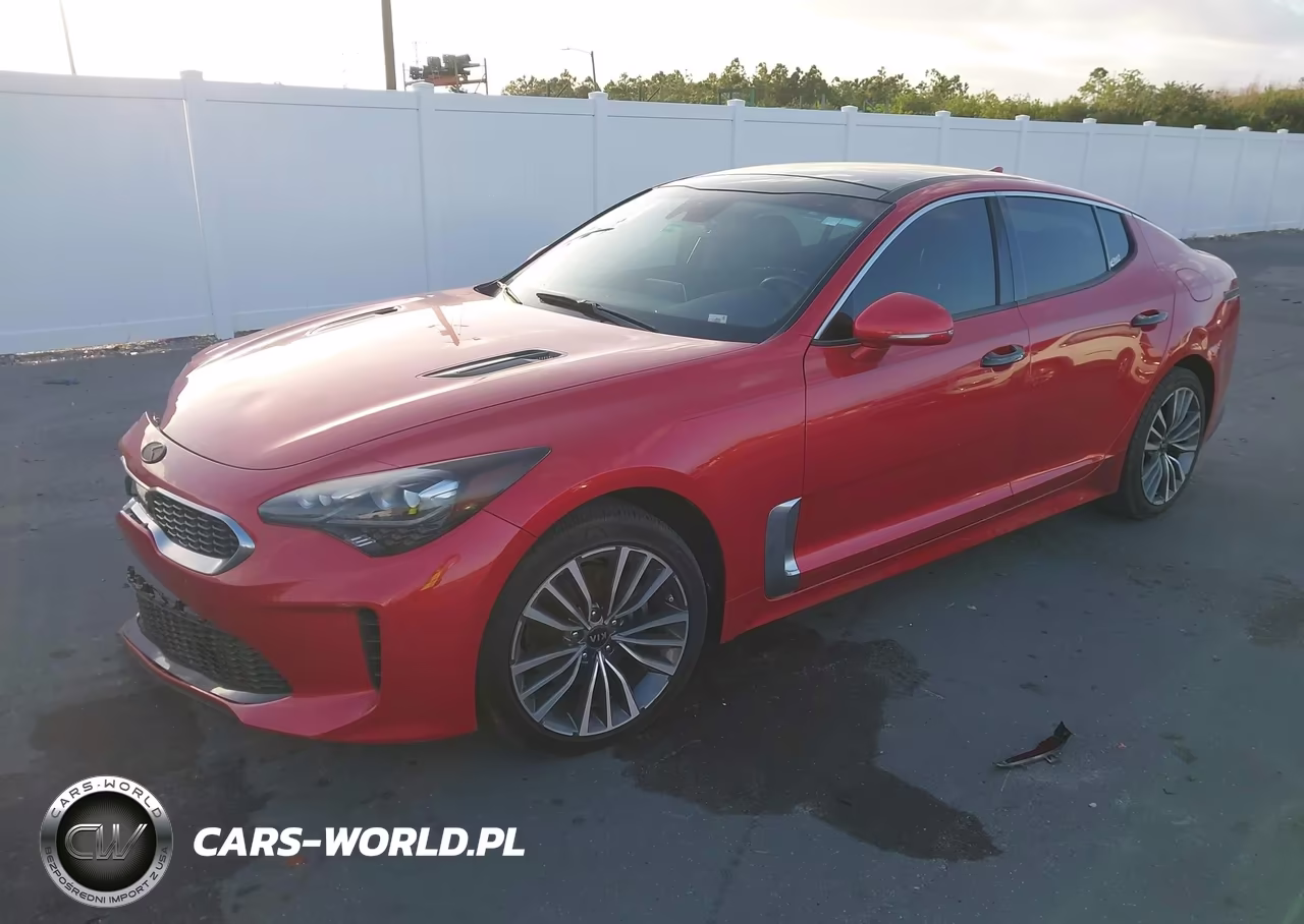 2019 Kia Stinger Premium VIN:KNAE25LA6K6051467 - 2