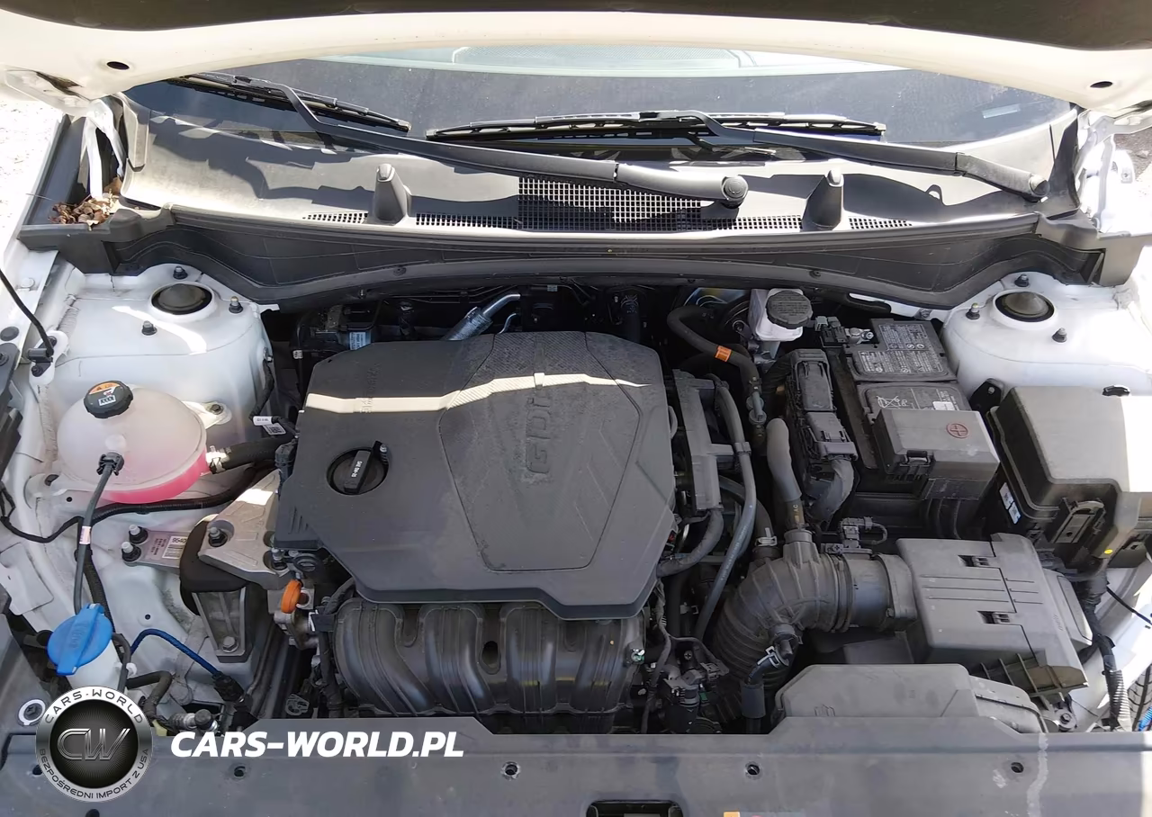 2023 Kia Sportage Ex VIN:5XYK33AF6PG083538 - 10