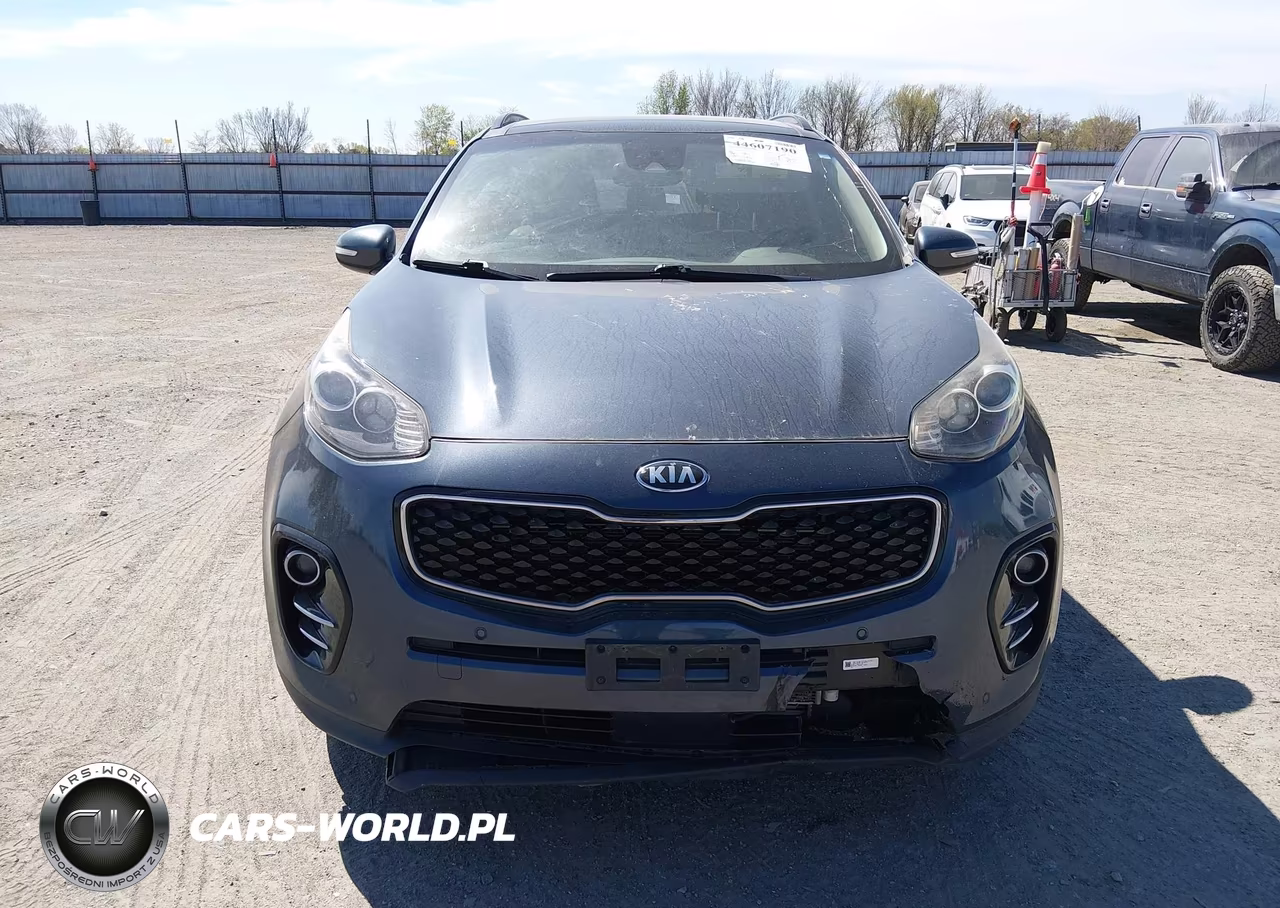 2019 Kia Sportage Ex VIN:KNDPN3AC6K7542515 - 12