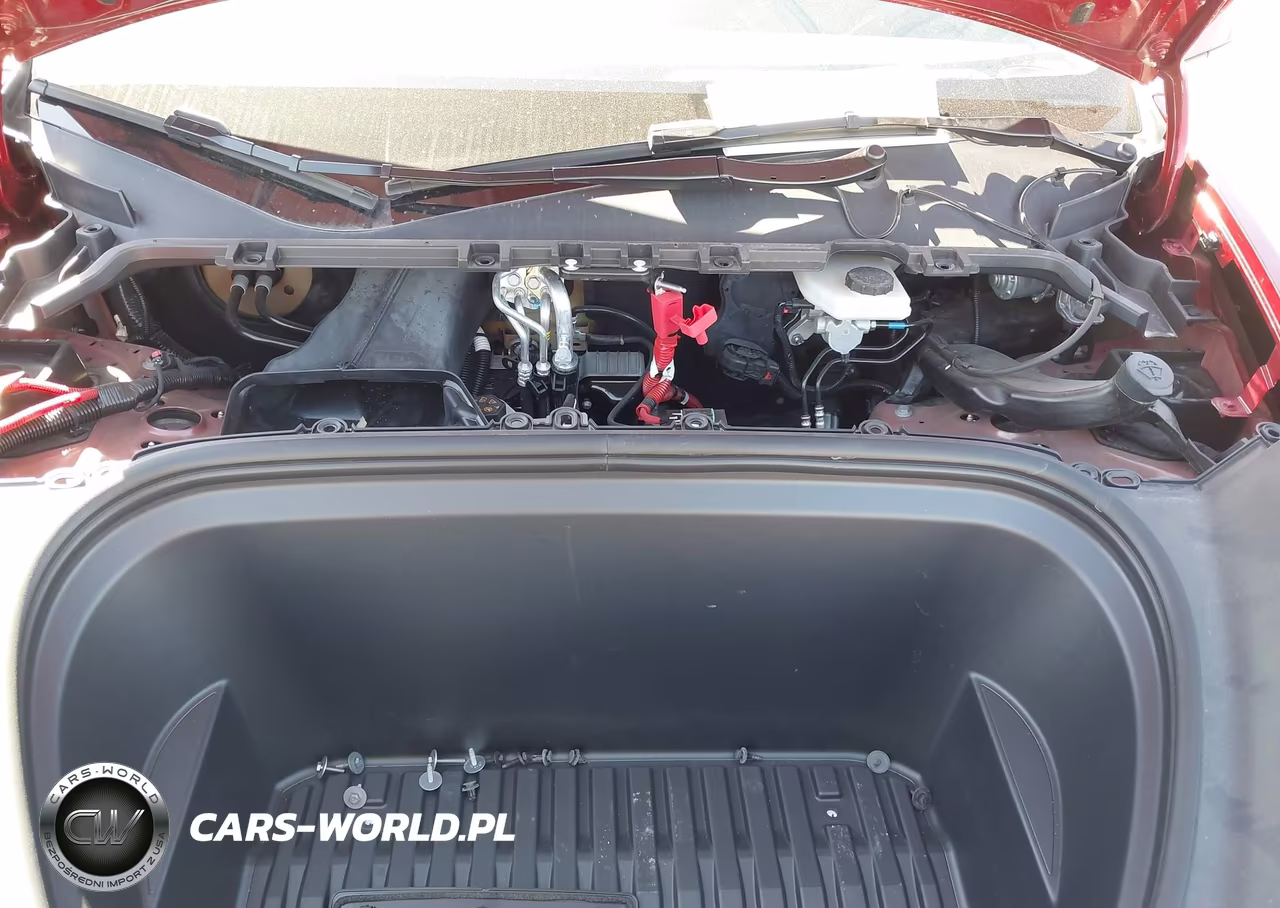 2025 Tesla Model Y Long Range Dual Motor All-Wheel Drive VIN:7SAYGDEE8SA364505 - 10