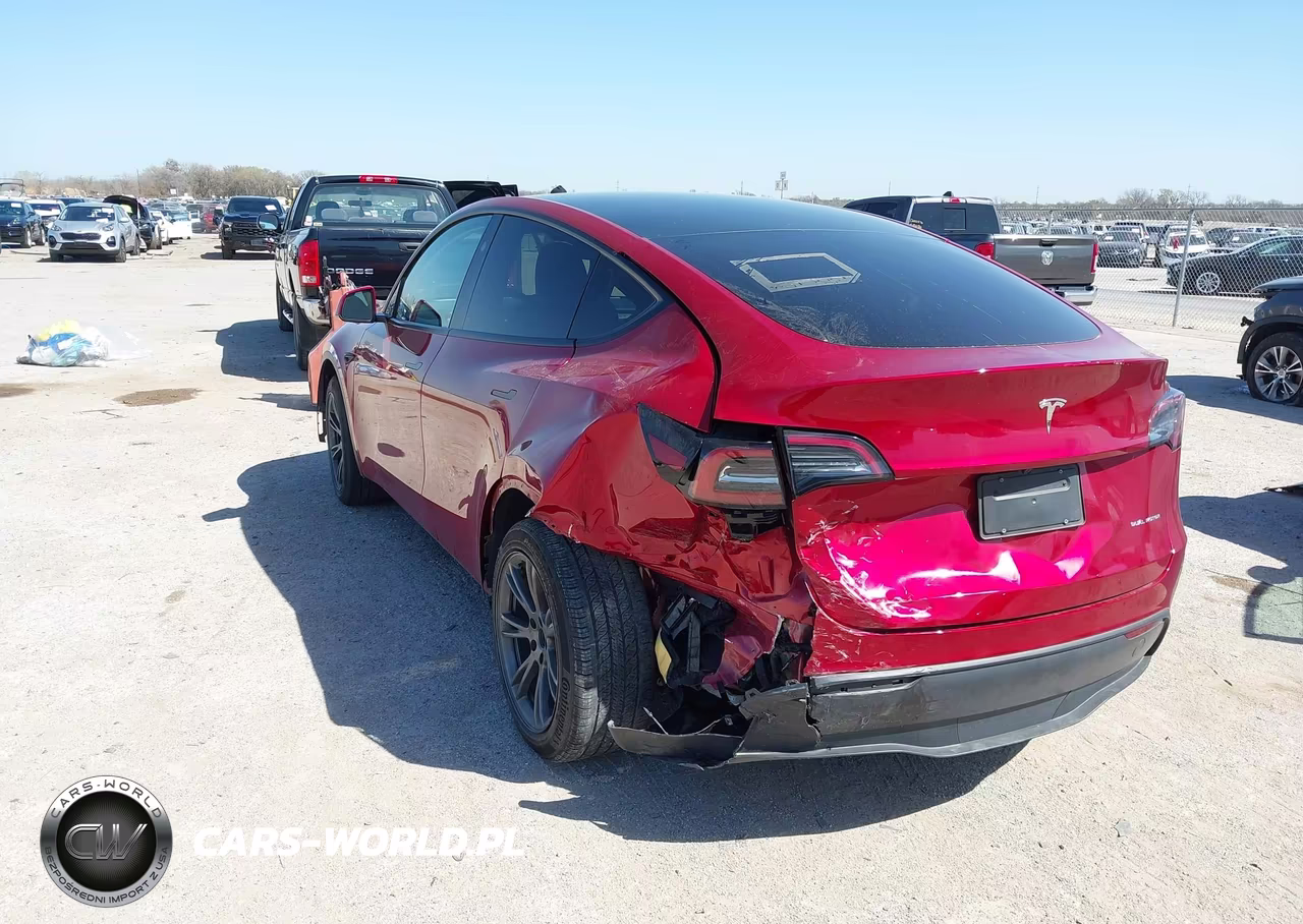 2025 Tesla Model Y Long Range Dual Motor All-Wheel Drive VIN:7SAYGDEE8SA364505 - 3