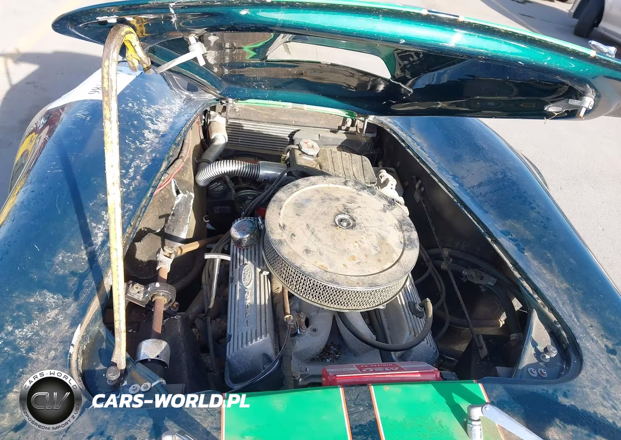 1968 Ford 427 Cobra VIN:NAF42700007016B88 - 10