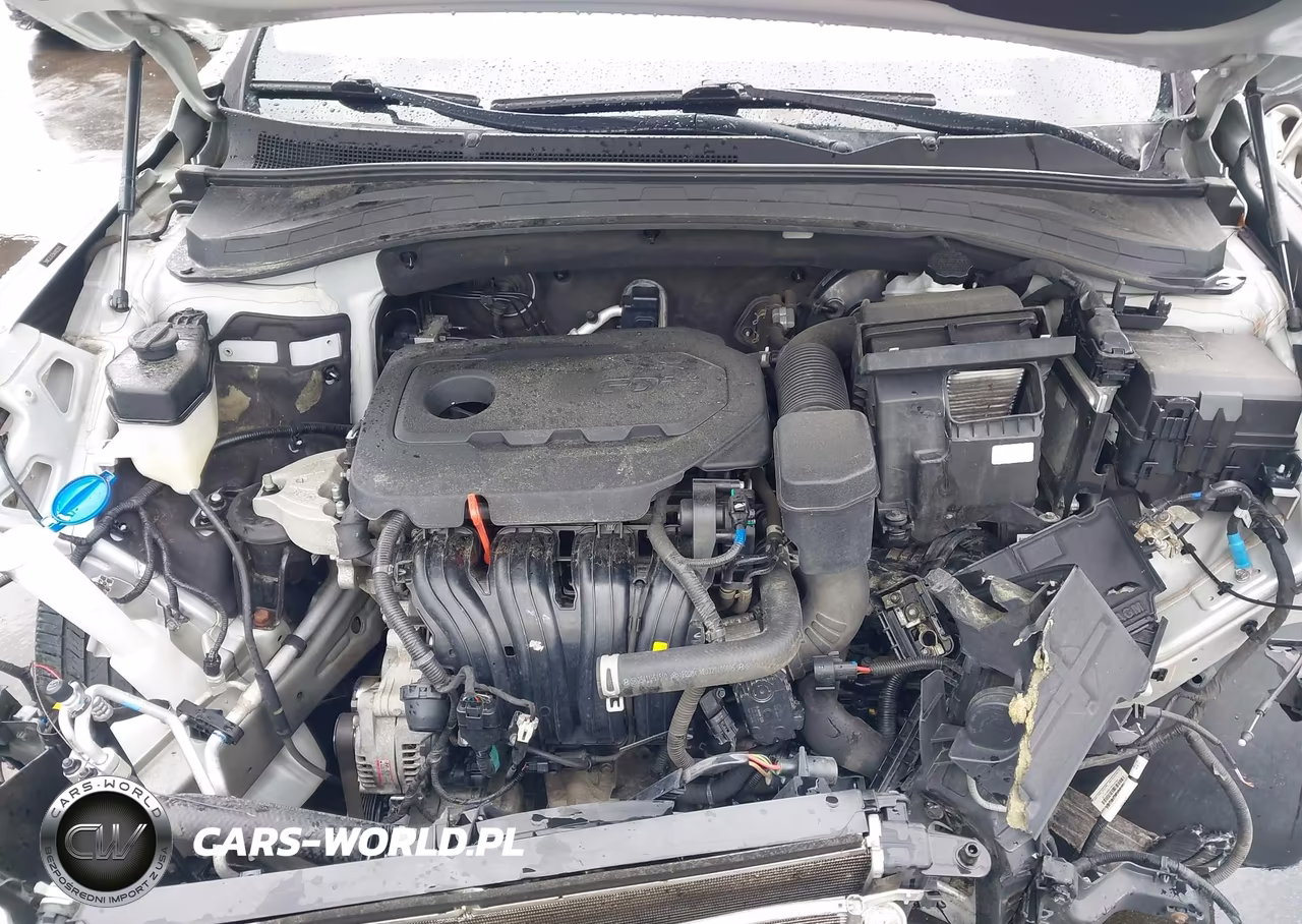 2019 Hyundai Santa Fe Sel VIN:5NMS3CAD5KH003515 - 10