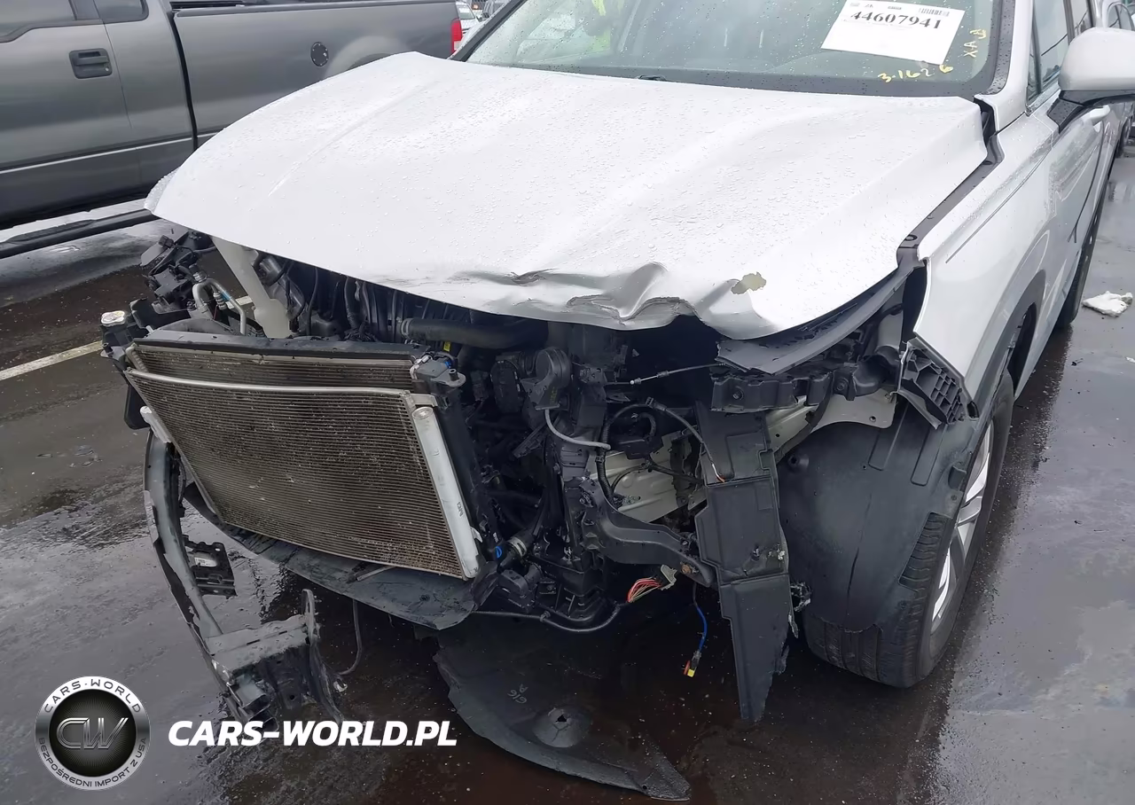2019 Hyundai Santa Fe Sel VIN:5NMS3CAD5KH003515 - 6