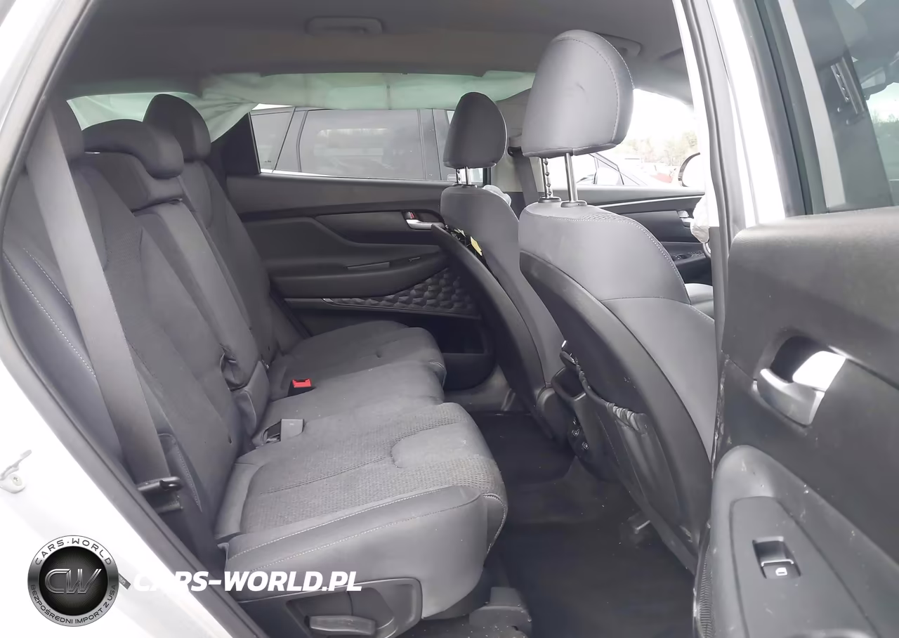 2019 Hyundai Santa Fe Sel VIN:5NMS3CAD5KH003515 - 8