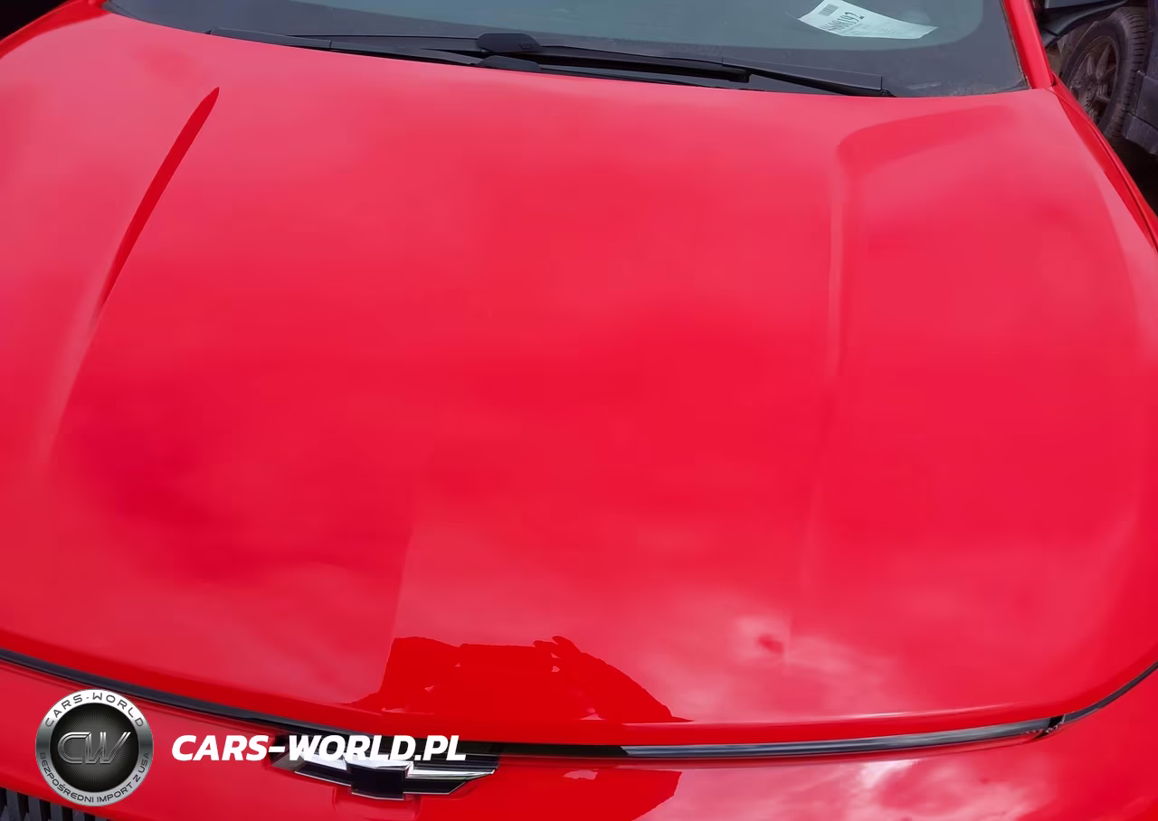 2025 Chevrolet Equinox Ev Rs VIN:3GN7DSRR5SS134683 - 10