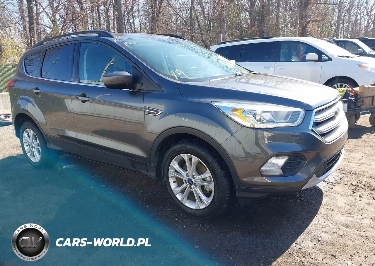 2019 Ford Escape Sel