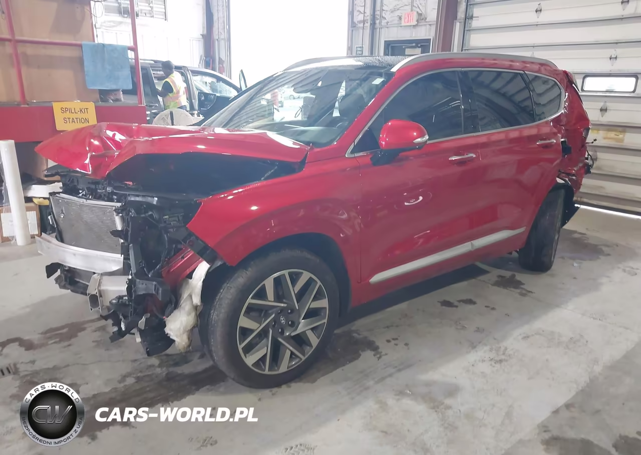 2023 Hyundai Santa Fe Calligraphy VIN:5NMS5DALXPH556515 - 2