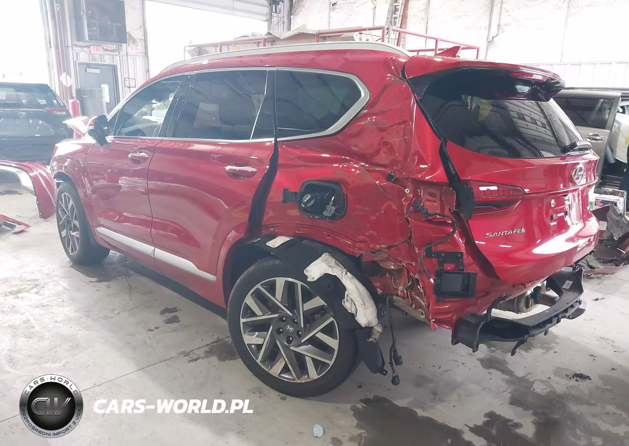 2023 Hyundai Santa Fe Calligraphy VIN:5NMS5DALXPH556515 - 3