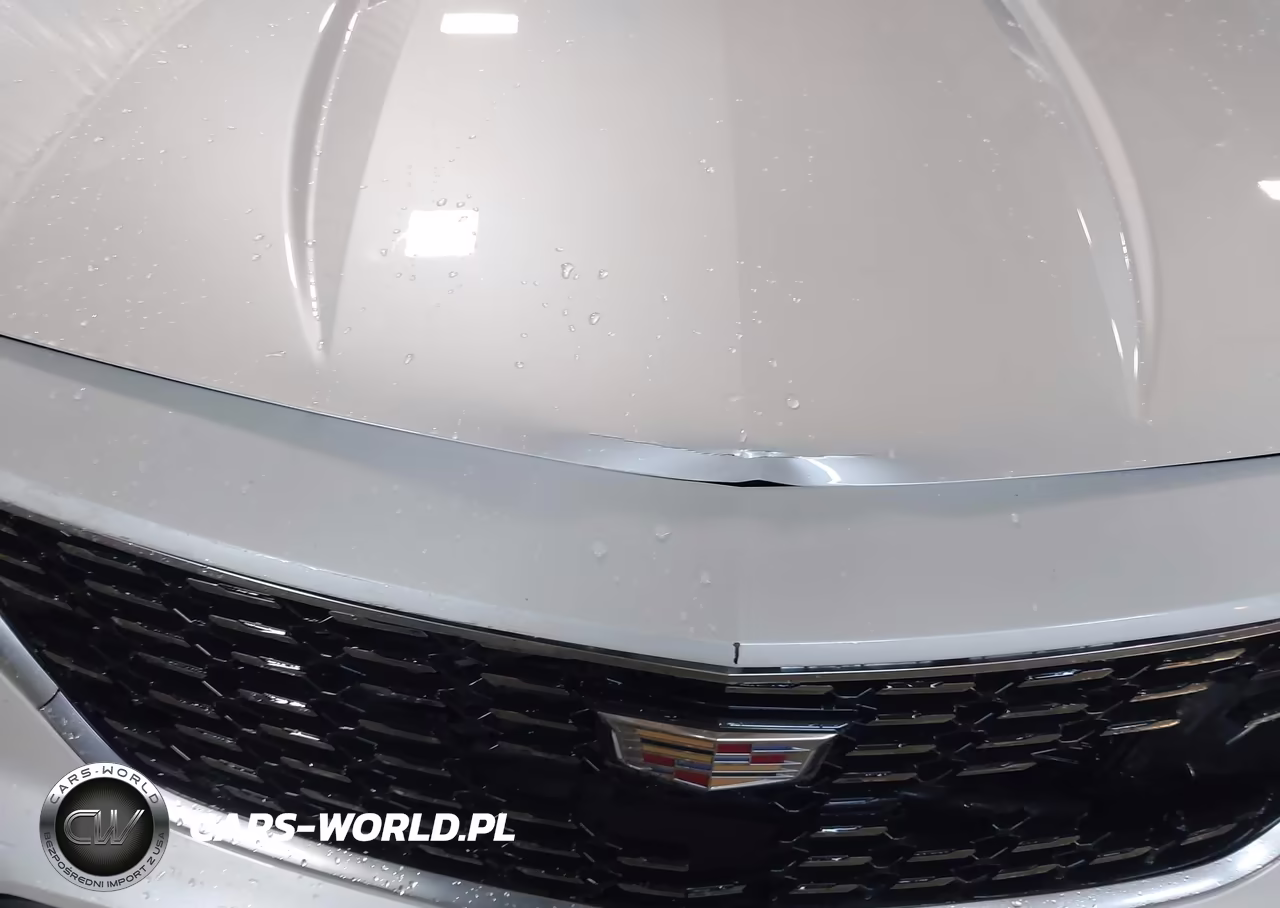 2019 Cadillac Xt4 Premium Luxury VIN:1GYFZDR45KF224260 - 18