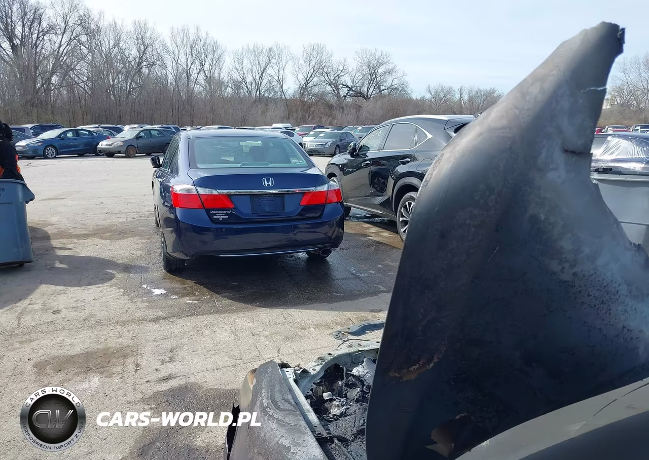 2013 Acura Ilx 2.0L VIN:19VDE1F30DE009295 - 12