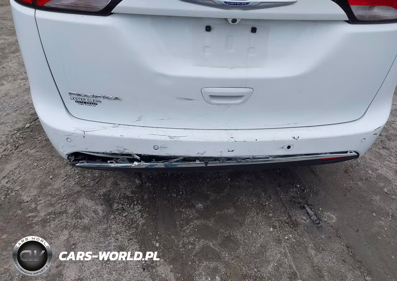2020 Chrysler Pacifica Touring L VIN:2C4RC1BGXLR137228 - 6