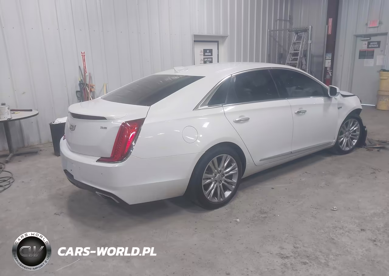2019 Cadillac Xts Luxury VIN:2G61M5S32K9127809 - 4