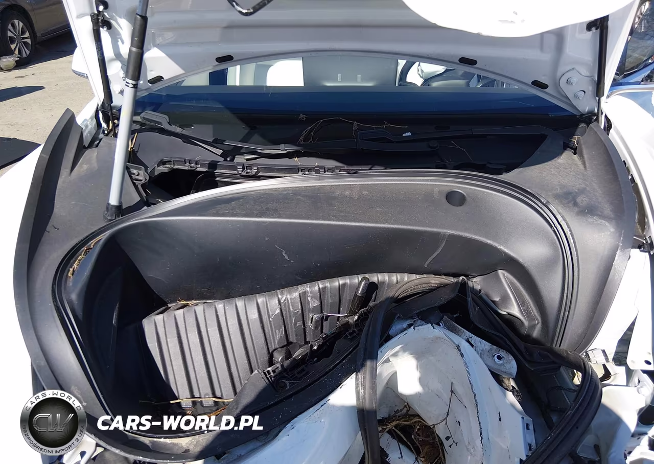 2020 Tesla Model 3 Long Range Dual Motor All-Wheel Drive VIN:5YJ3E1EB0LF791411 - 10