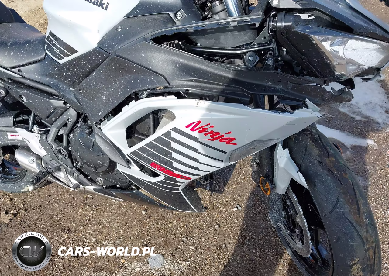 2026 Kawasaki Ex650 P VIN:ML5EXEP18TDAH0316 - 17
