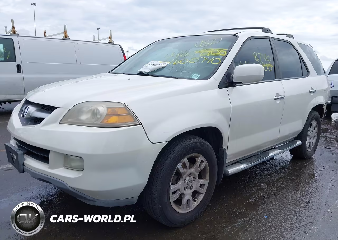 2005 Acura Mdx VIN:2HNYD189X5H503113 - 2