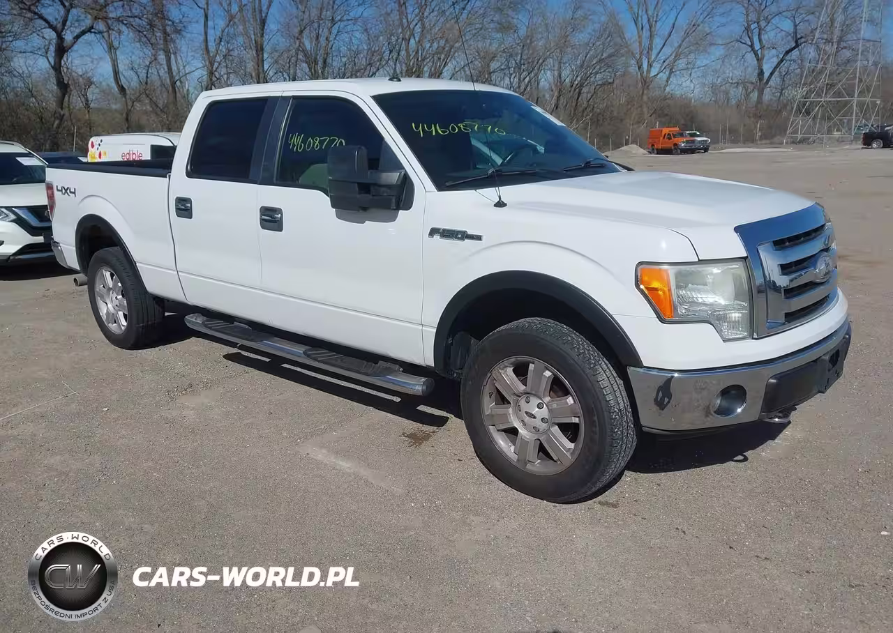 2009 Ford F-150 Fx4-King Ranch-Lariat-Platinum-Xl-Xlt