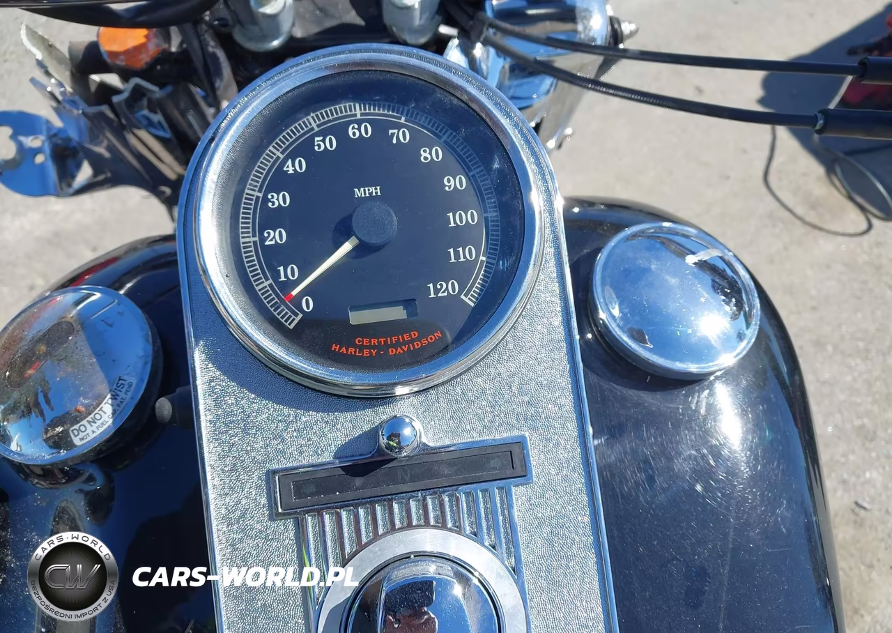 2003 Harley-Davidson Flhrci VIN:1HD1FRW1X3Y745348 - 7