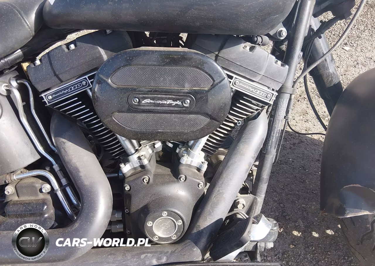2016 Harley-Davidson Flstfbs VIN:1HD1JT914GC015977 - 8