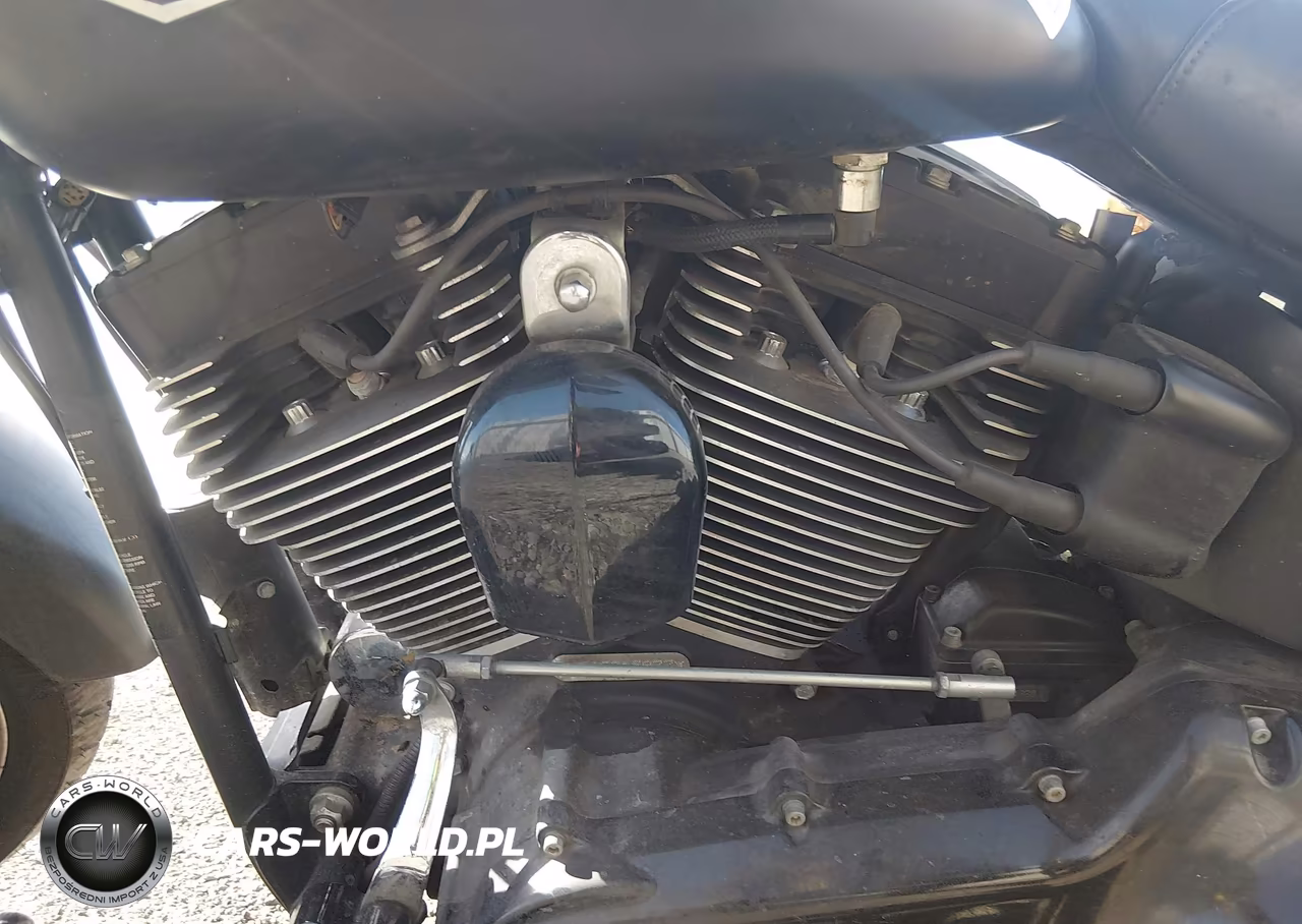 2016 Harley-Davidson Flstfbs VIN:1HD1JT914GC015977 - 9