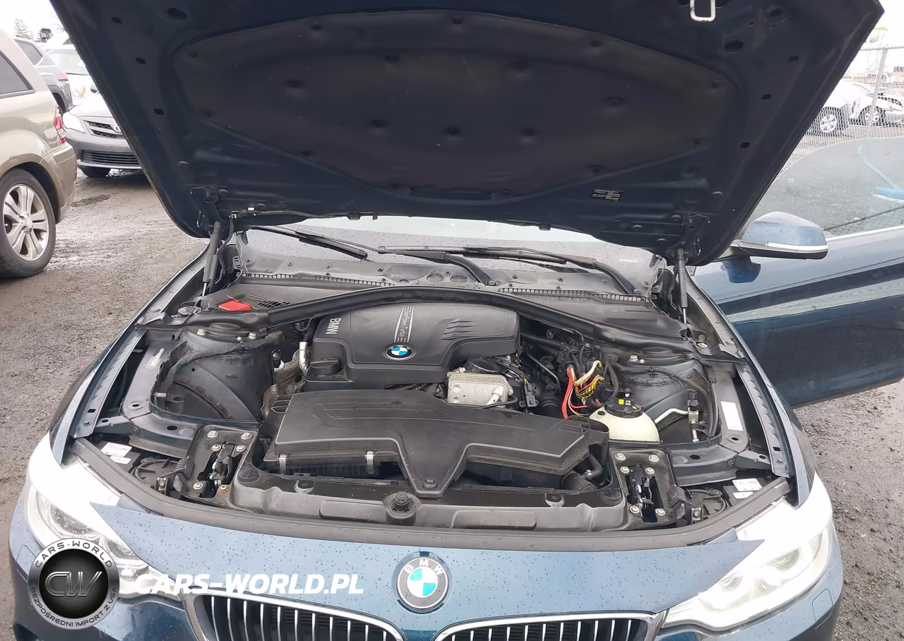 2015 BMW 428I xDrive VIN:WBA3N5C58FK198033 - 10