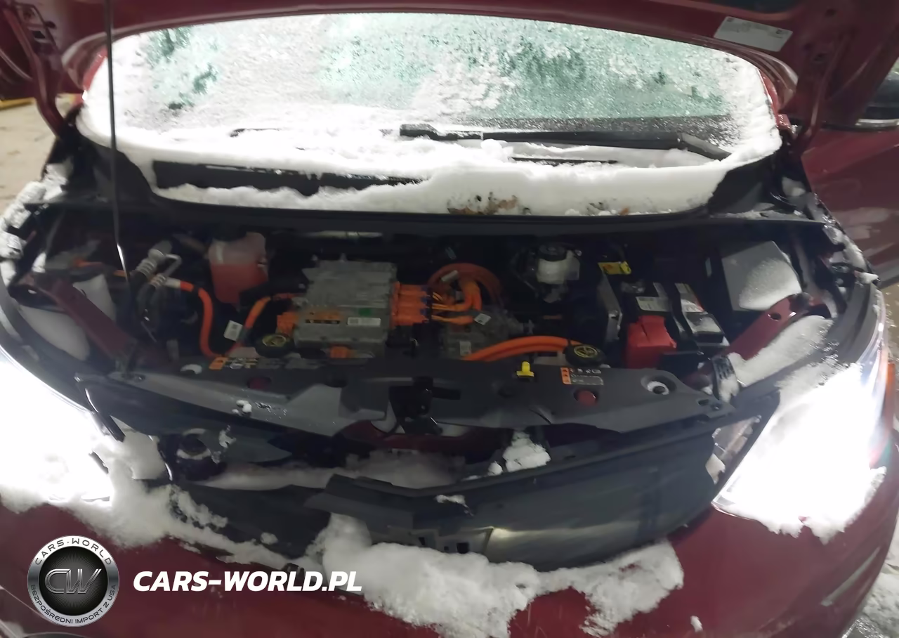2019 Chevrolet Bolt Ev Lt VIN:1G1FY6S0XK4130262 - 10