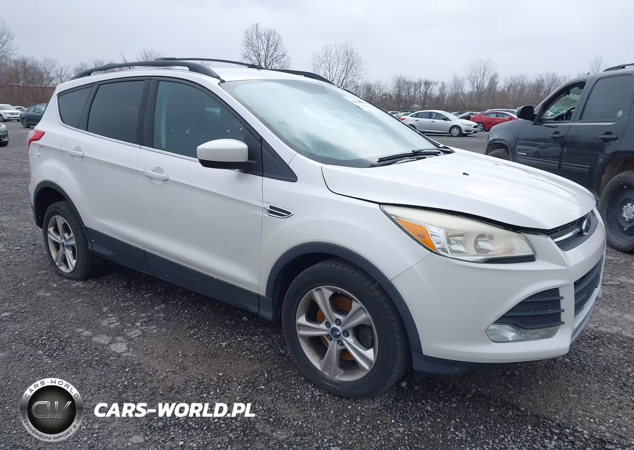 2013 Ford Escape Se